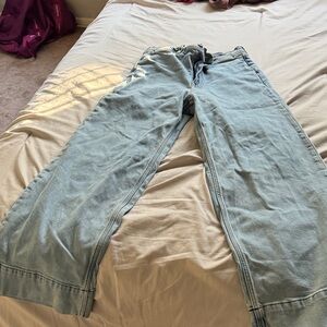 Everlane Sky Blue Wide Leg Jeans